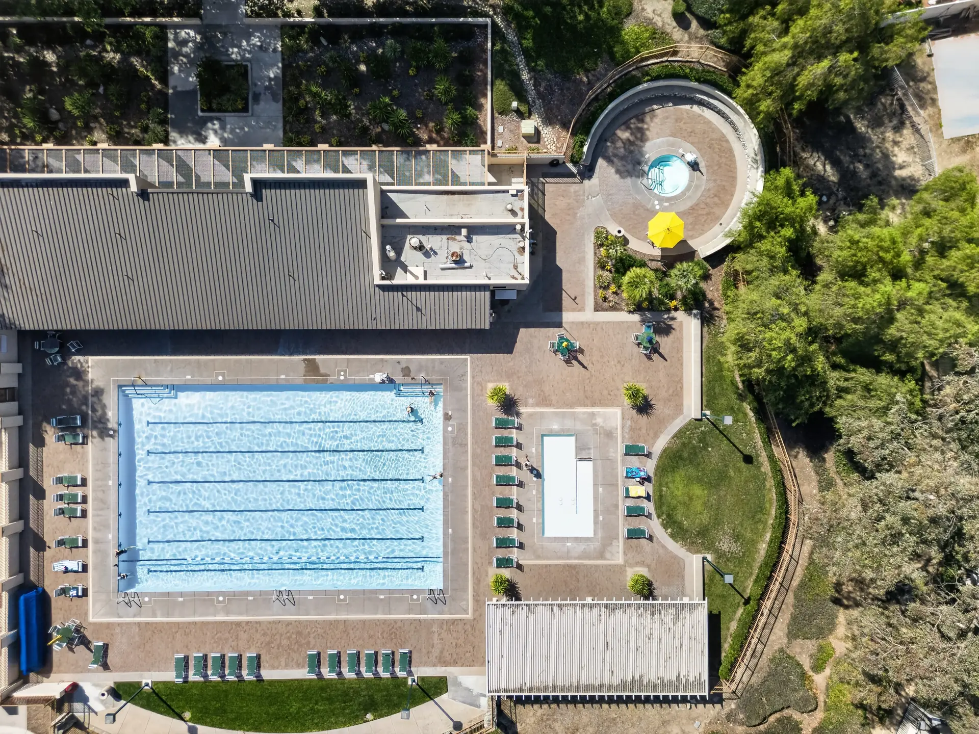 Top-down aerial drone photo of community lap pool with spa and lounge deck